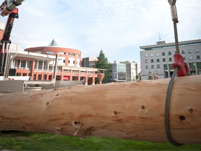 Serviço de Içamento com Munck em Fazenda Rio Grande